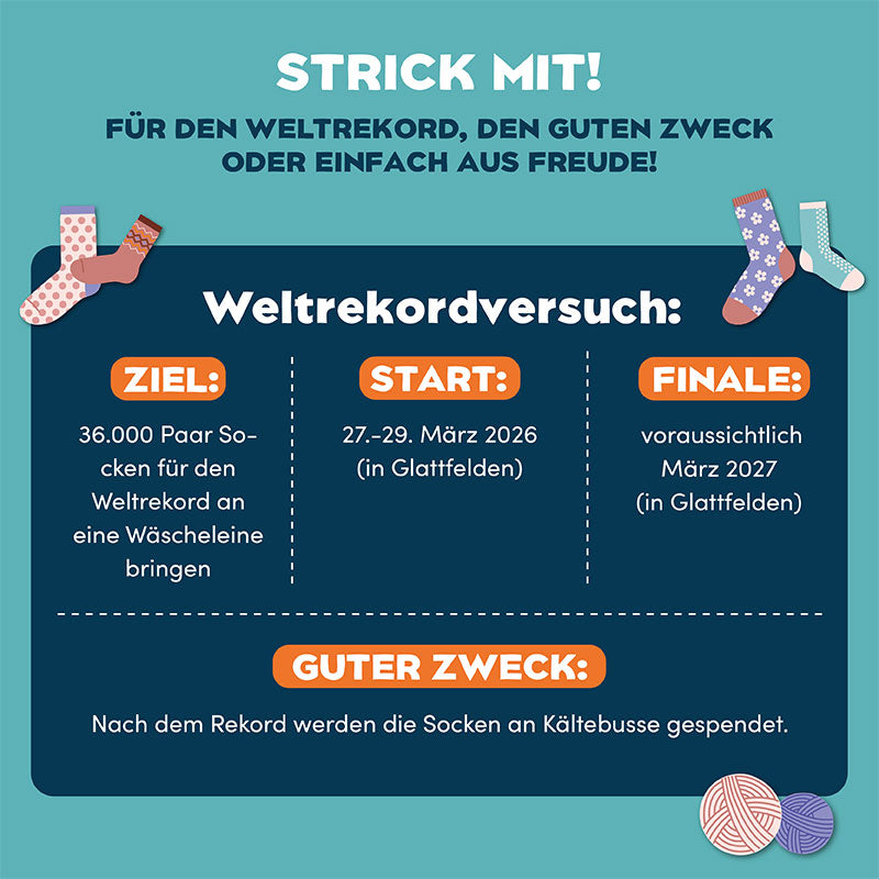 Buch "Socken Weltrekord - Woolly Hugs"