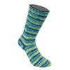 Meilenweit Cosy Socks 6f. Color
