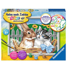 Malen nach Zahlen - Putzige Freunde