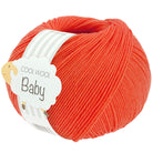 Cool Wool Baby hummer