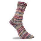 Golden Socks terra color