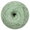 agave
