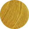 mimose