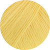 Cotonella sonne