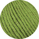 Legato Linie 553 birke