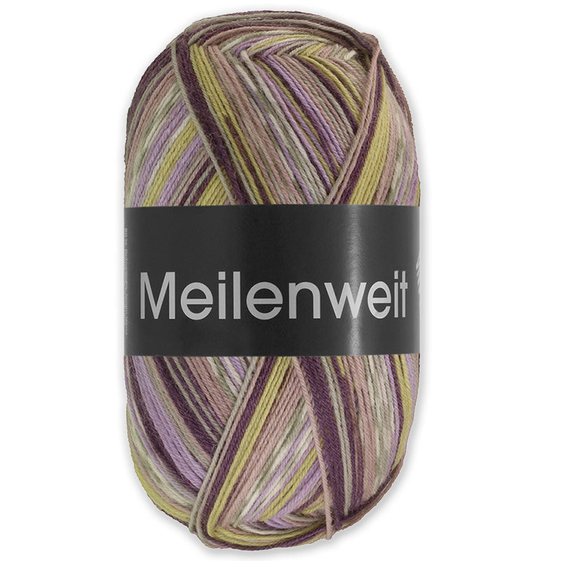 Meilenweit 100 Arte